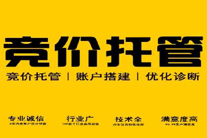 谷歌竞价广告的投放策略与成功案例分析
